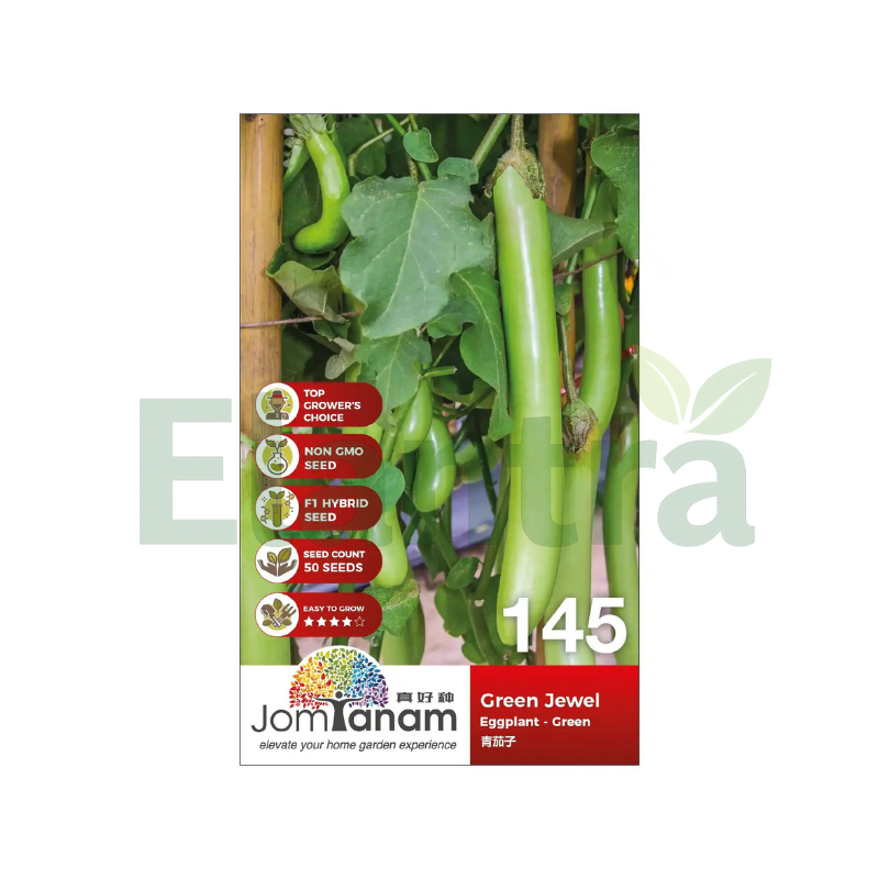 145 EGGPLANT - GREEN